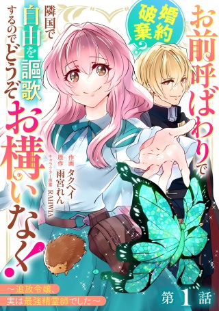 お前呼ばわりで婚約破棄?隣国で自由を謳歌するのでどうぞお構いなく!~追放令嬢、実は最強精霊師でした~ Raw Free